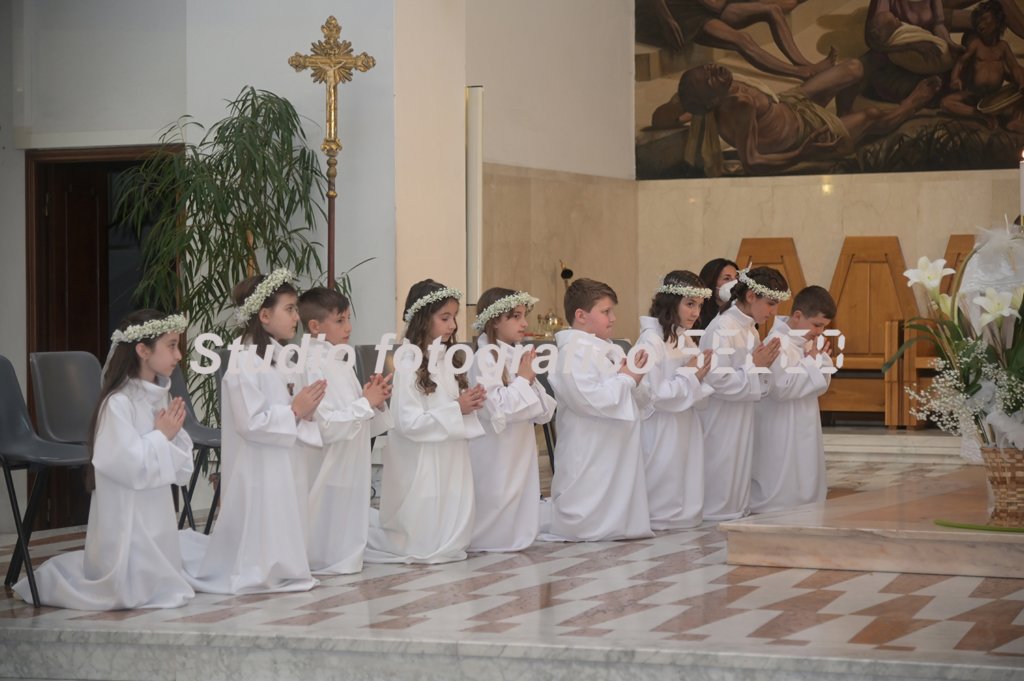 dsc_2377.jpg