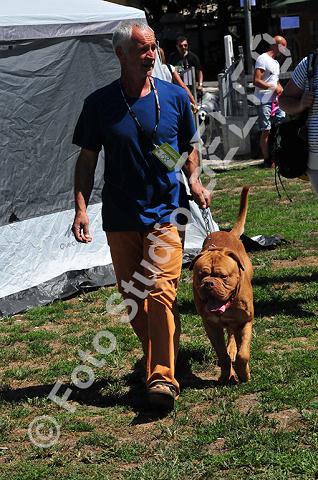 dsc_0738.jpg
