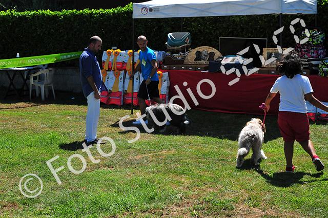 dsc_0747.jpg