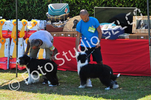 dsc_0750.jpg