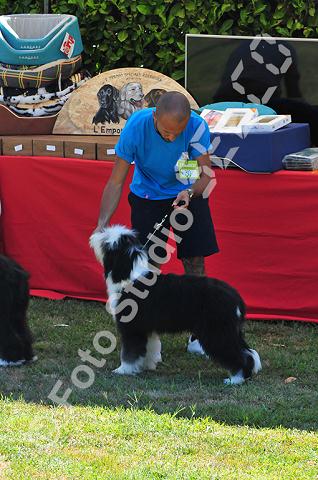dsc_0751.jpg