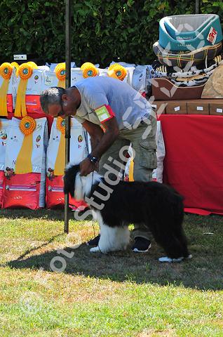 dsc_0752.jpg