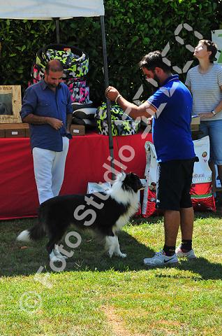 dsc_0755.jpg