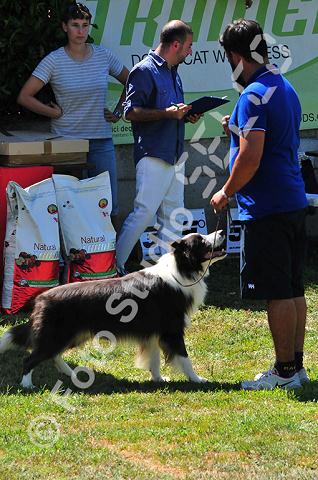 dsc_0763.jpg