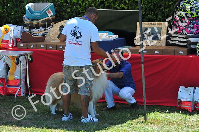 dsc_0845.jpg