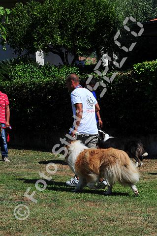 vr1_0050.jpg