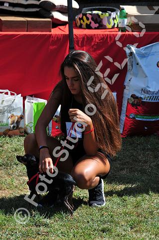 vr1_0085.jpg