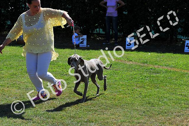 vr1_0167.jpg