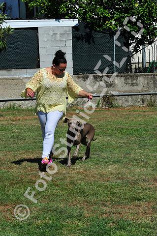 vr1_0170.jpg