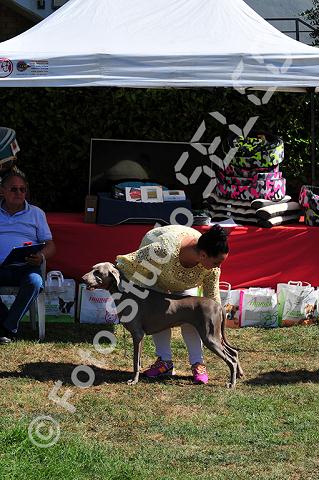 vr1_0175.jpg