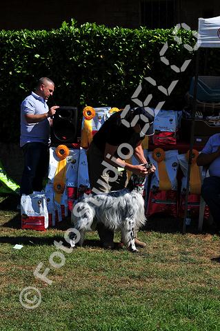 vr1_0176.jpg