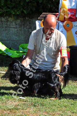 vr1_0207.jpg