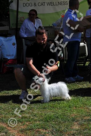 vr1_0210.jpg