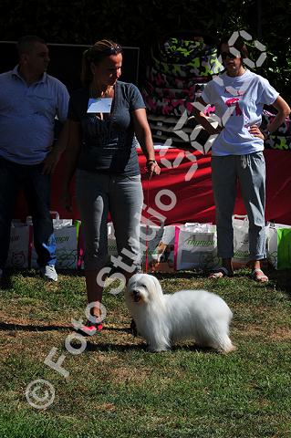 vr1_0217.jpg