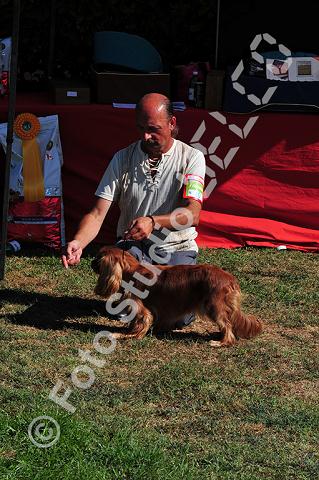 vr1_0295.jpg