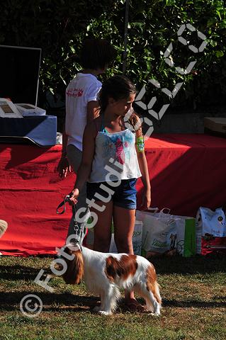 vr1_0325.jpg