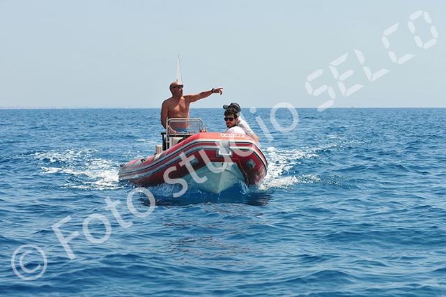 vr1_9461.jpg