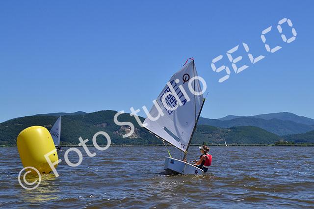 dsc_0239.jpg