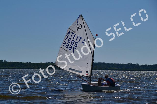dsc_0459.jpg