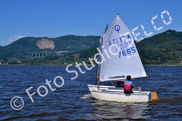 dsc_0466.jpg